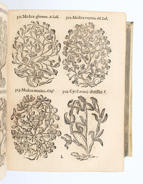 Panckow, Herbarium + Beiband