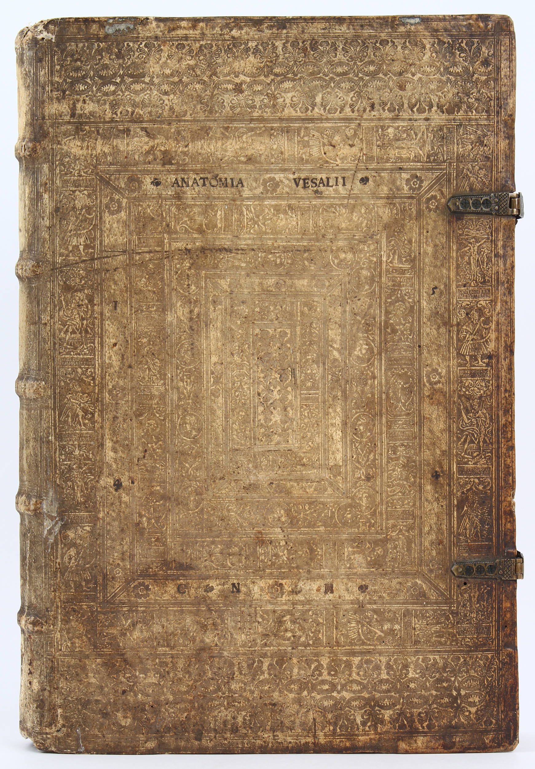 Vesalius, De humani corporis fabrica