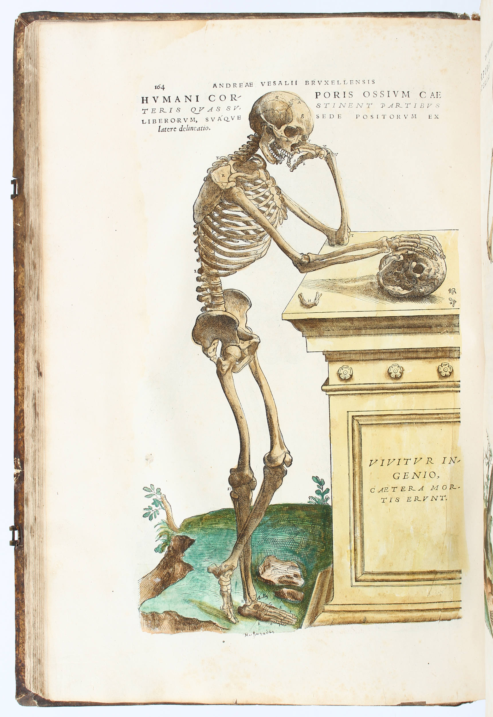 Vesalius, De humani corporis fabrica