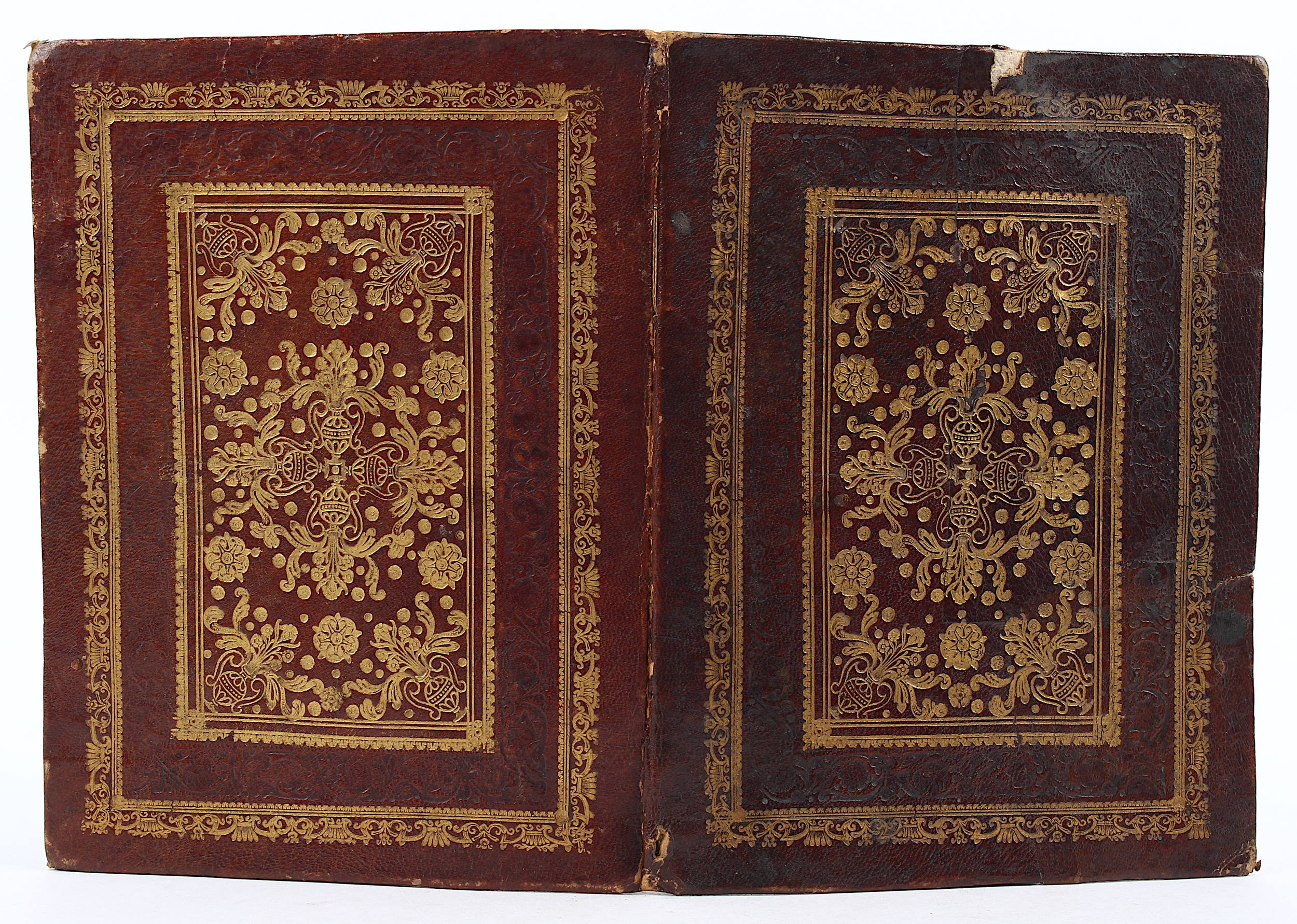 Doktordiplom für Z. Mancini