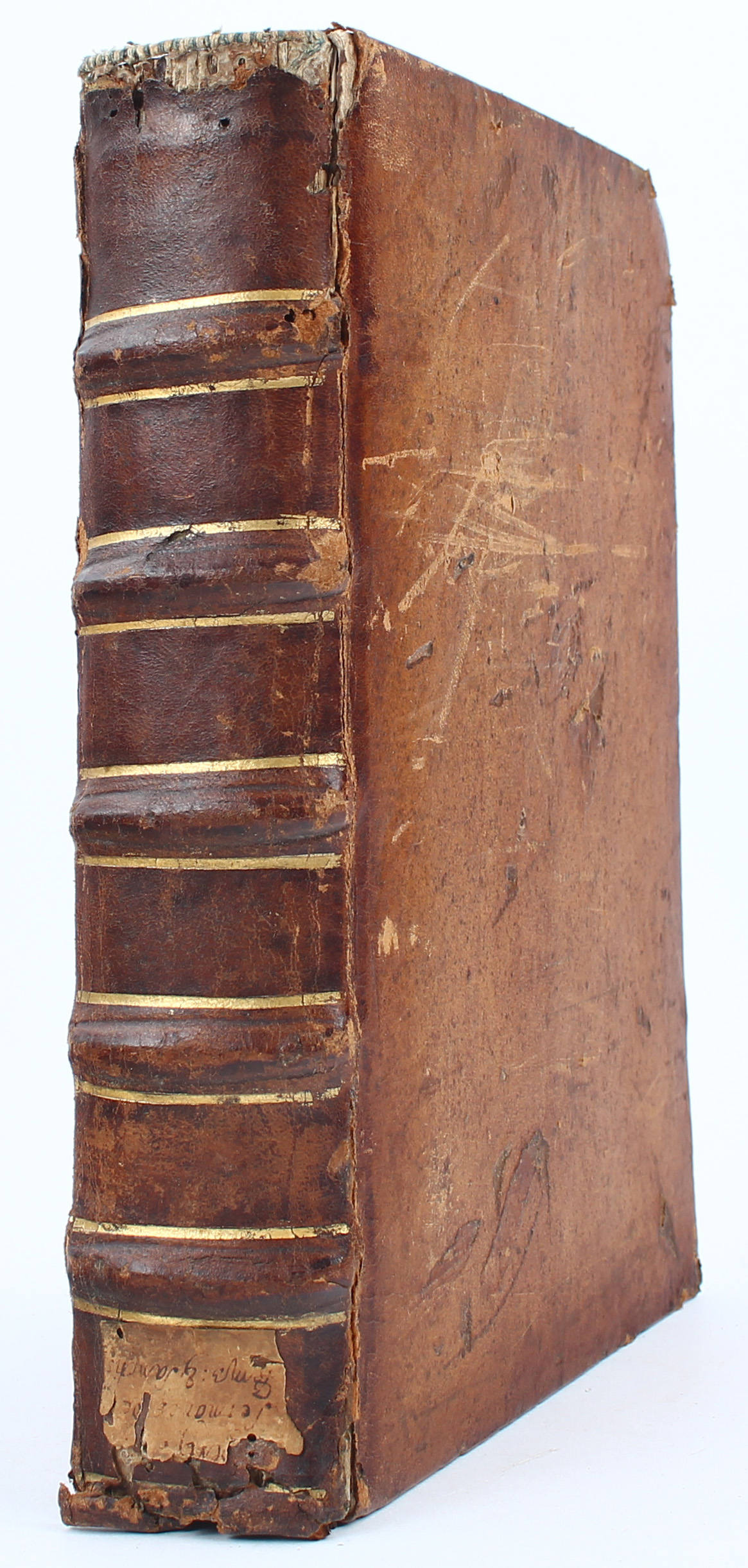 Albertus Magnus, Sermones de tempore