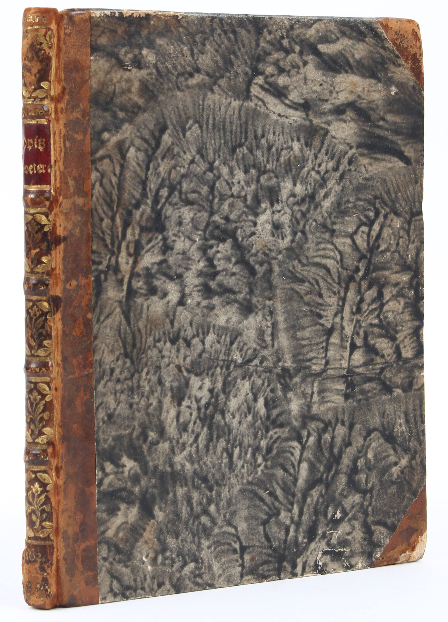 Opitz, Buch von der Deutschen Poeterey