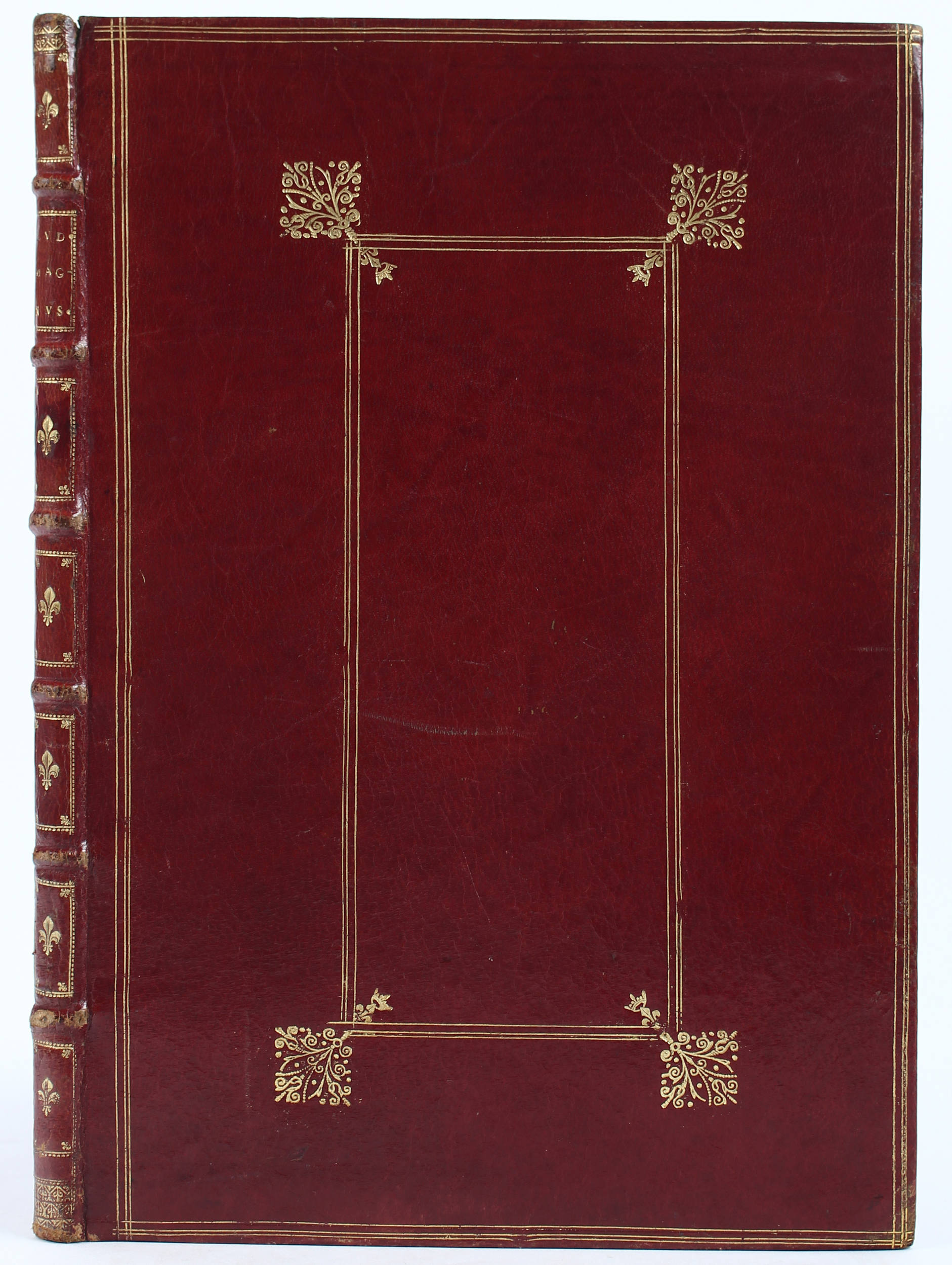 Ludovicus Magnuis ex collectis in ordinem sacrae