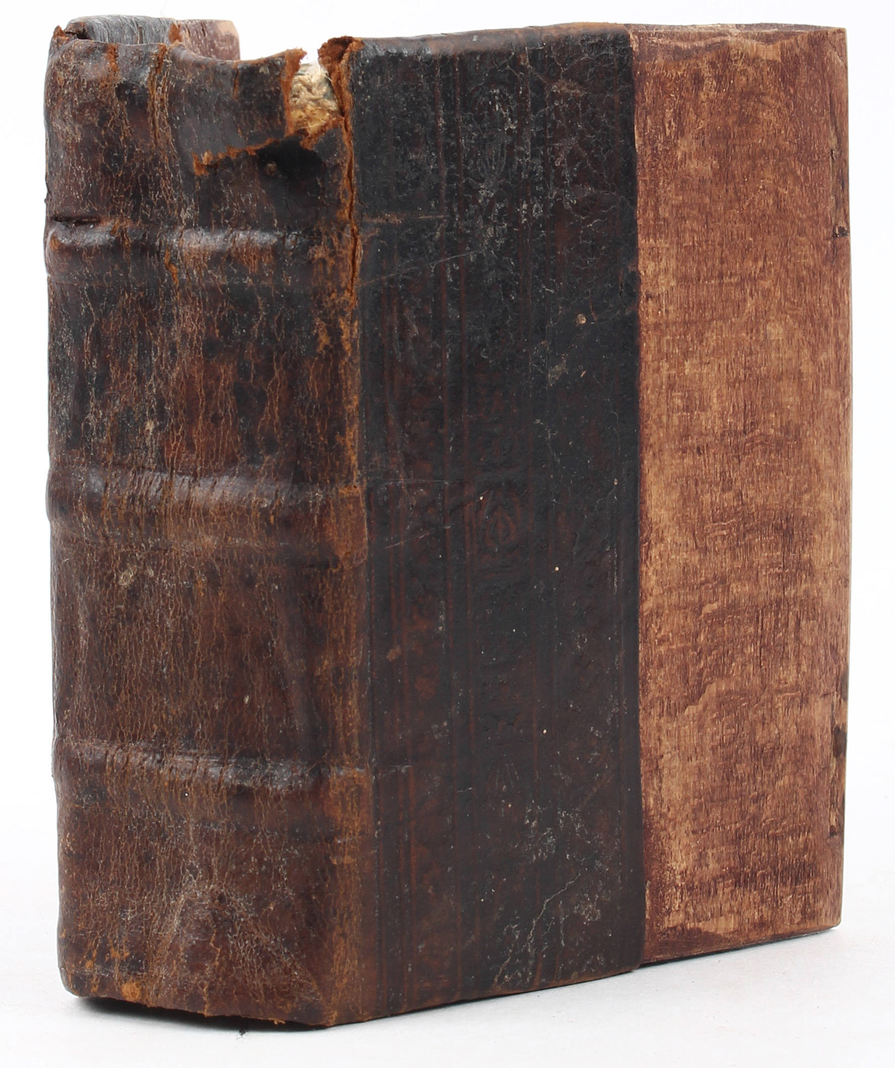 Psalterium, Handschrift auf Pergament