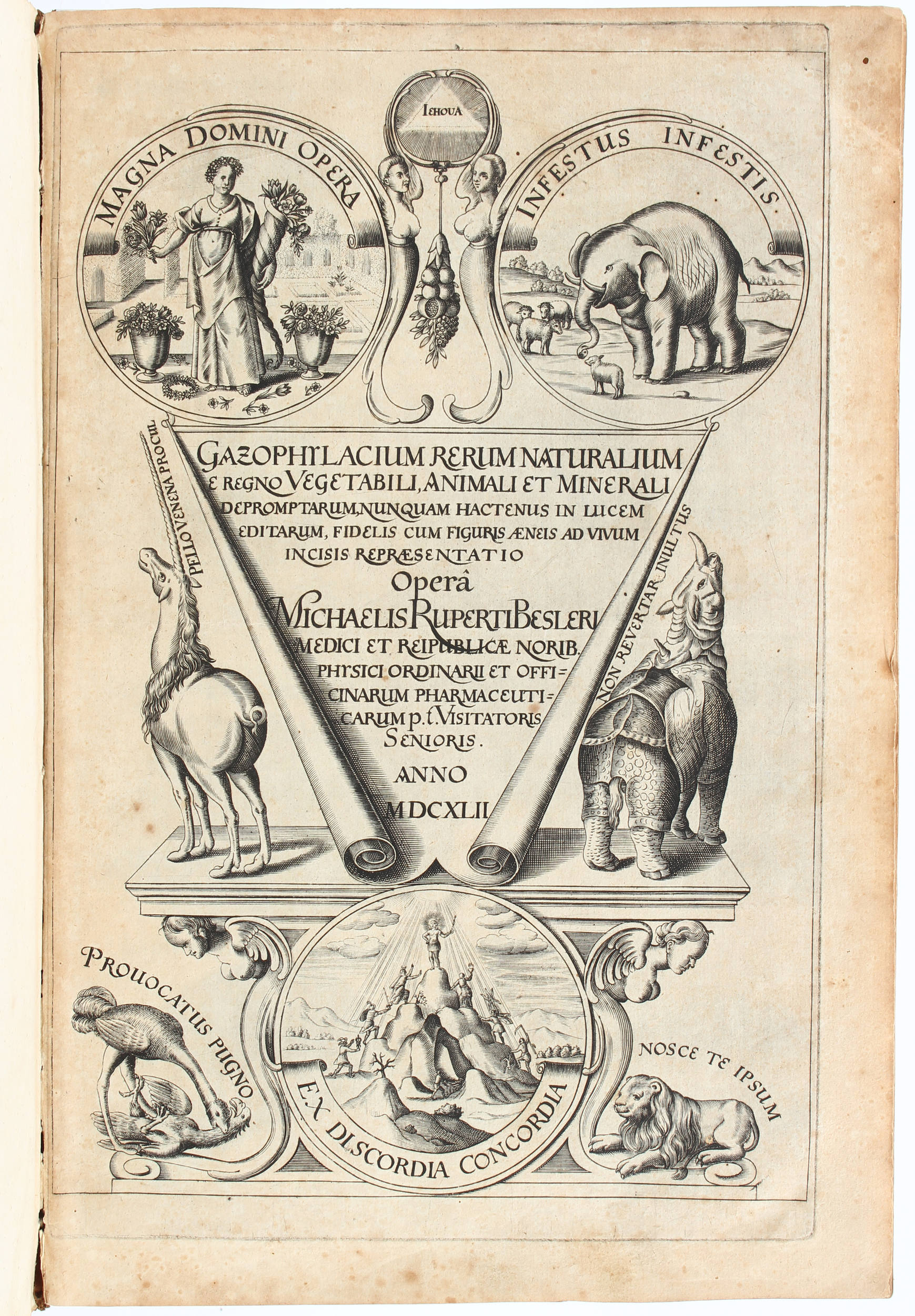 Besler, Gazophylacium rerum naturalium