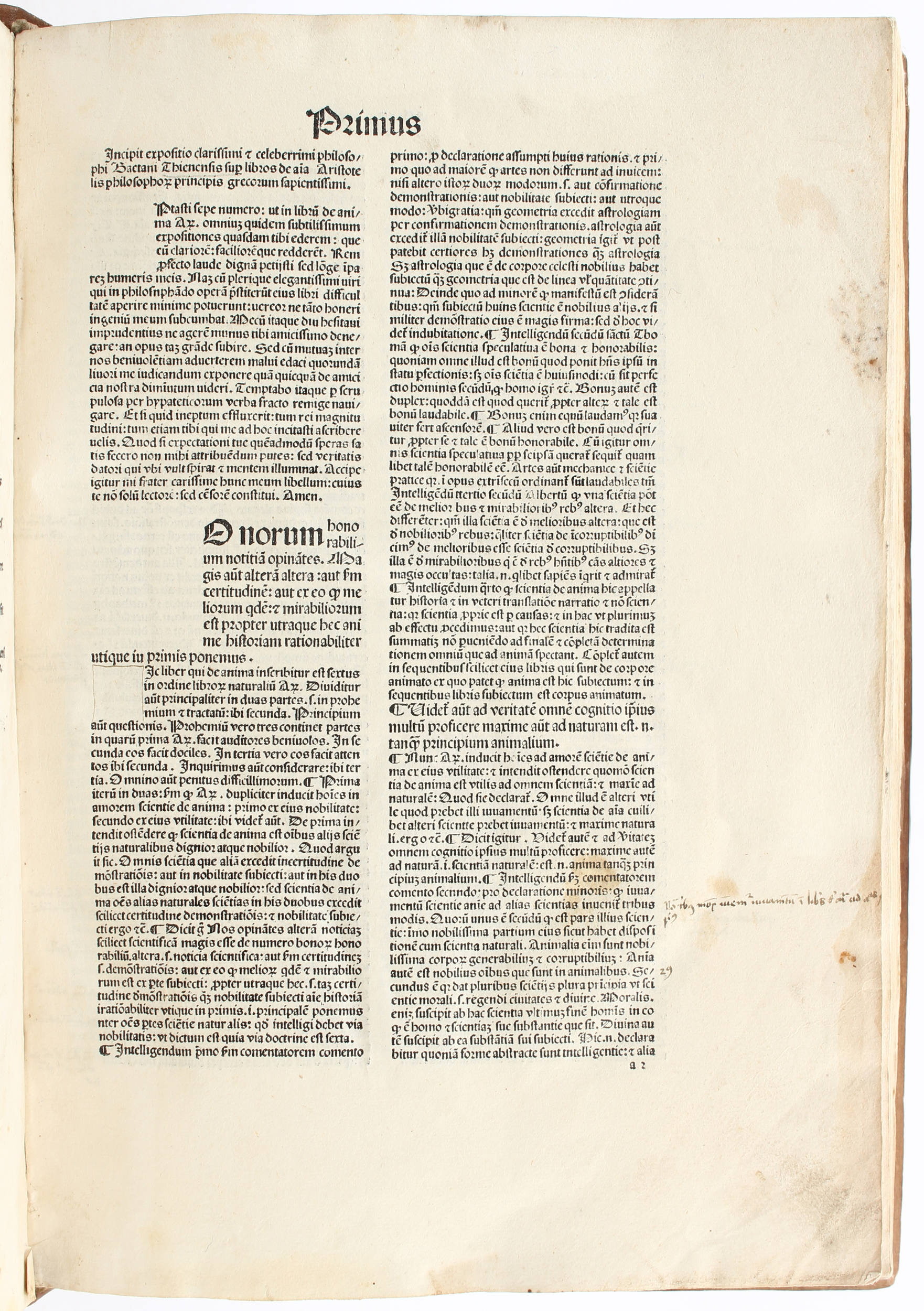 Gaietanus de Thienis, Expositio