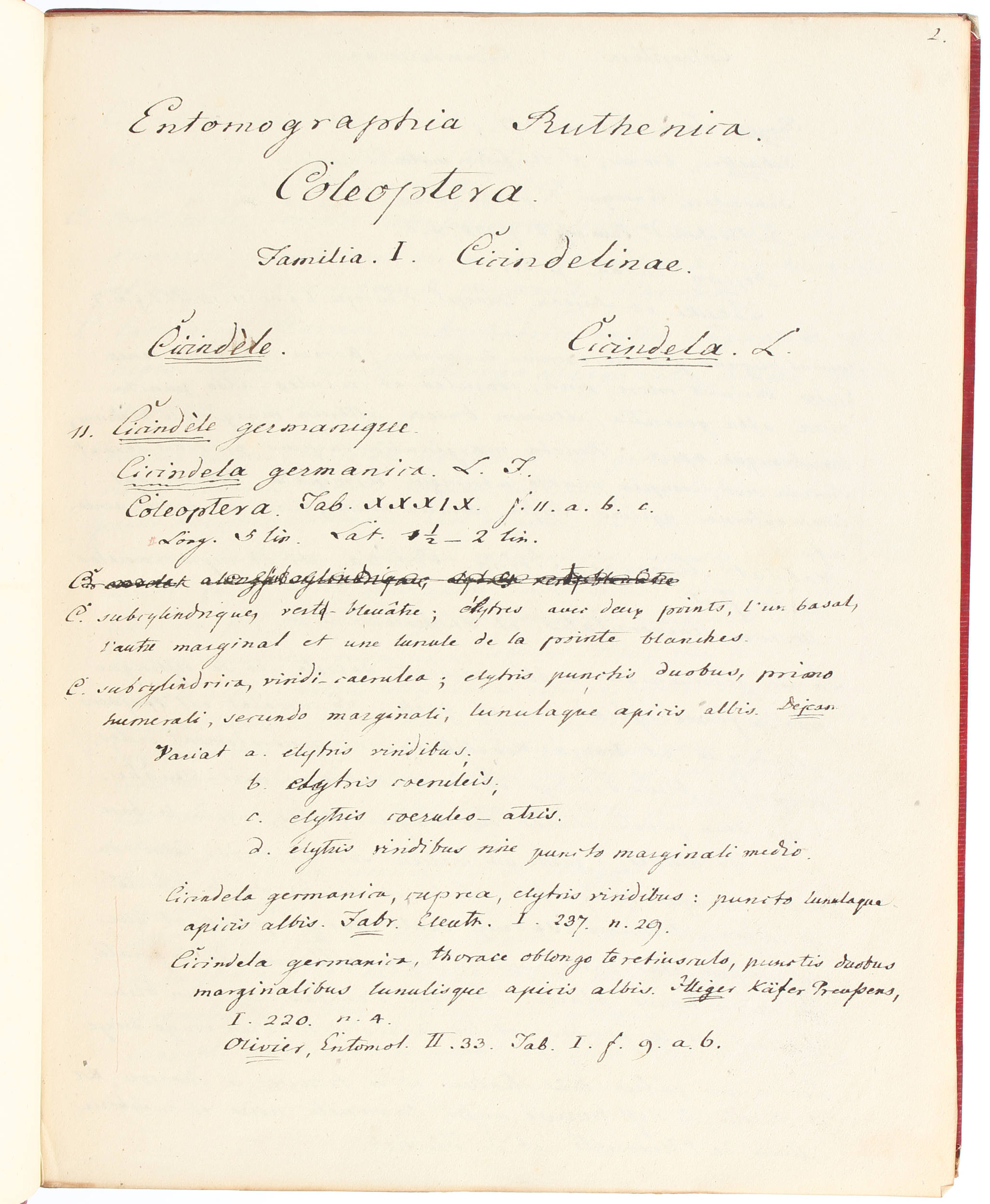 Fischer v. Waldheim, Eigenh. Manuskript