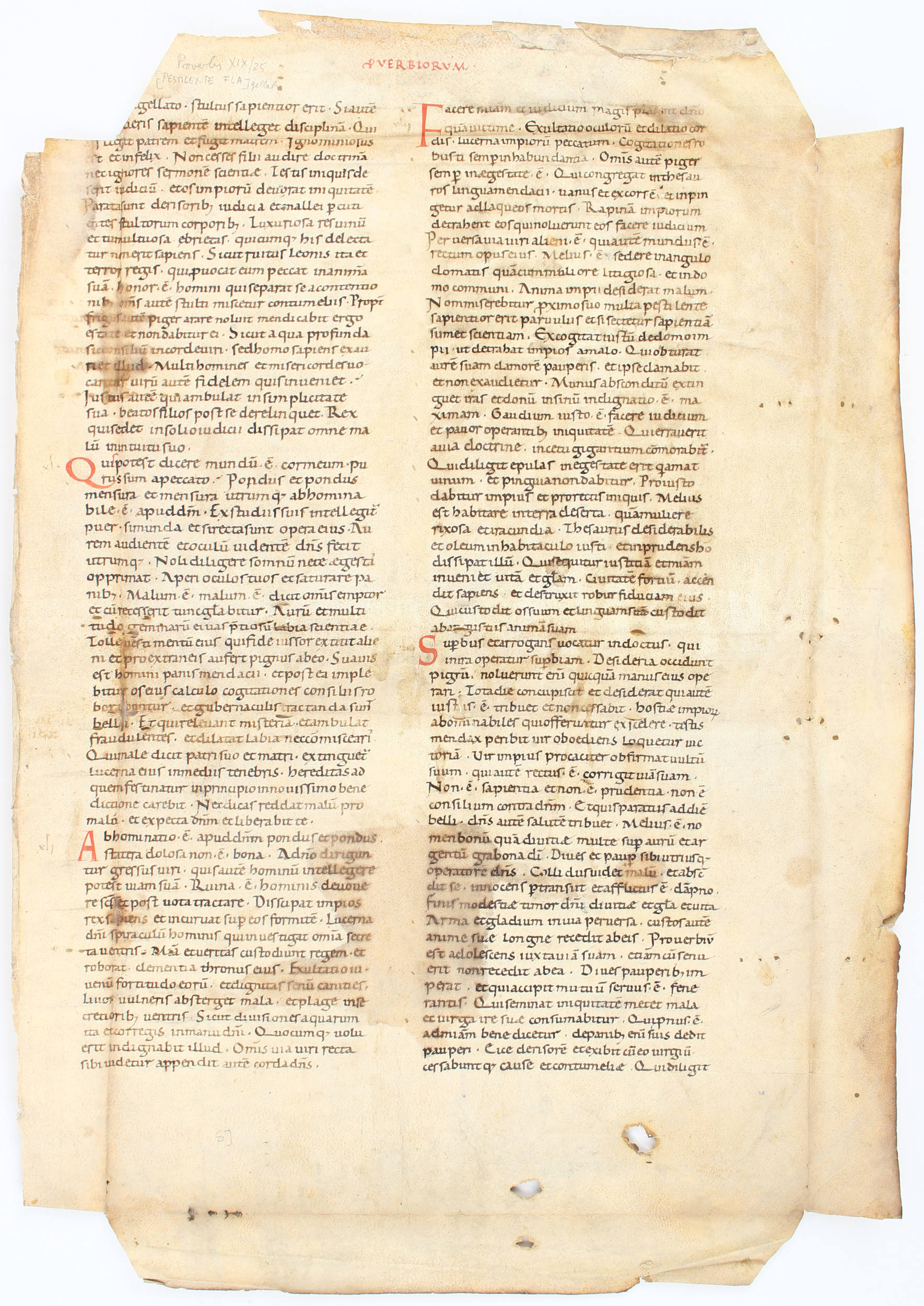Biblia latina, Einzelblatt (Proverbia)