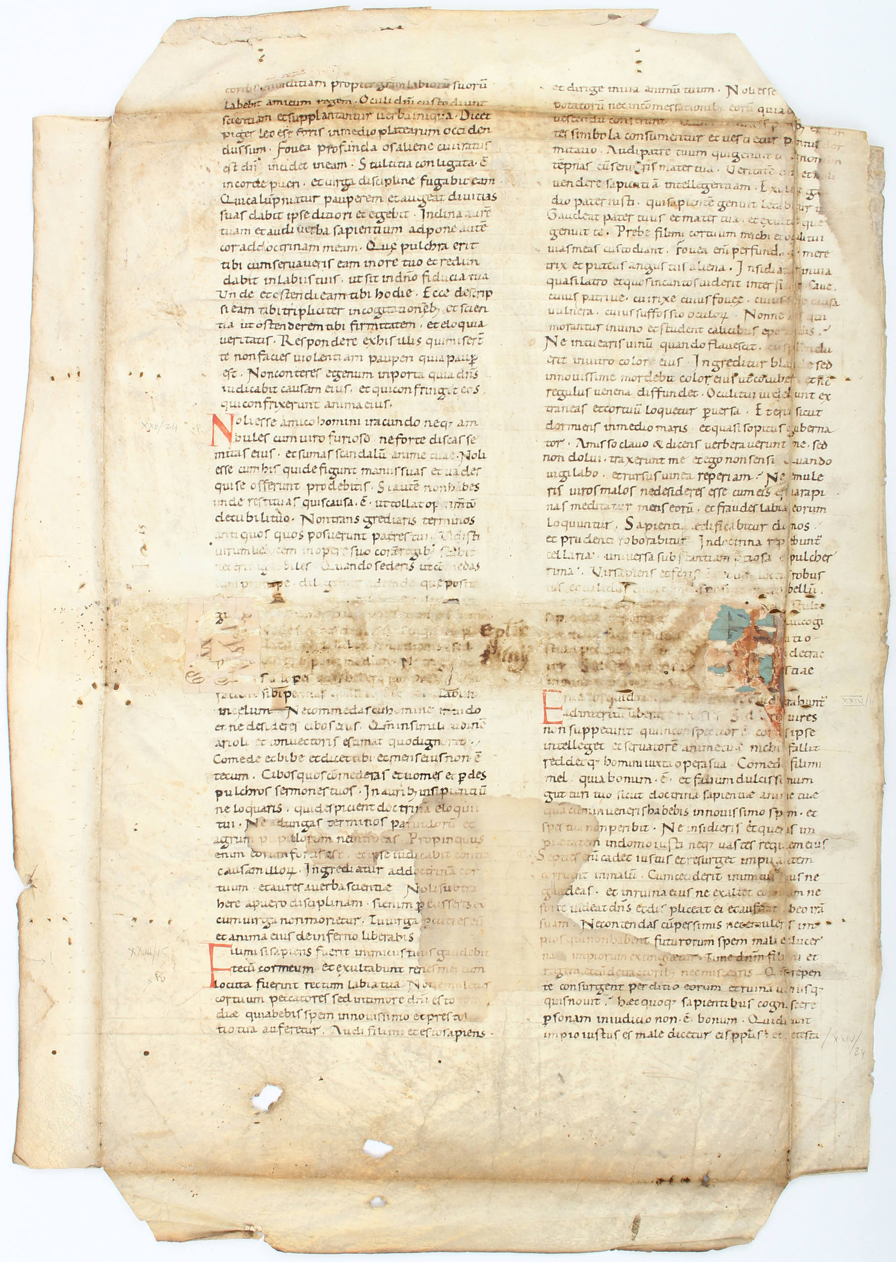 Biblia latina, Einzelblatt (Proverbia)