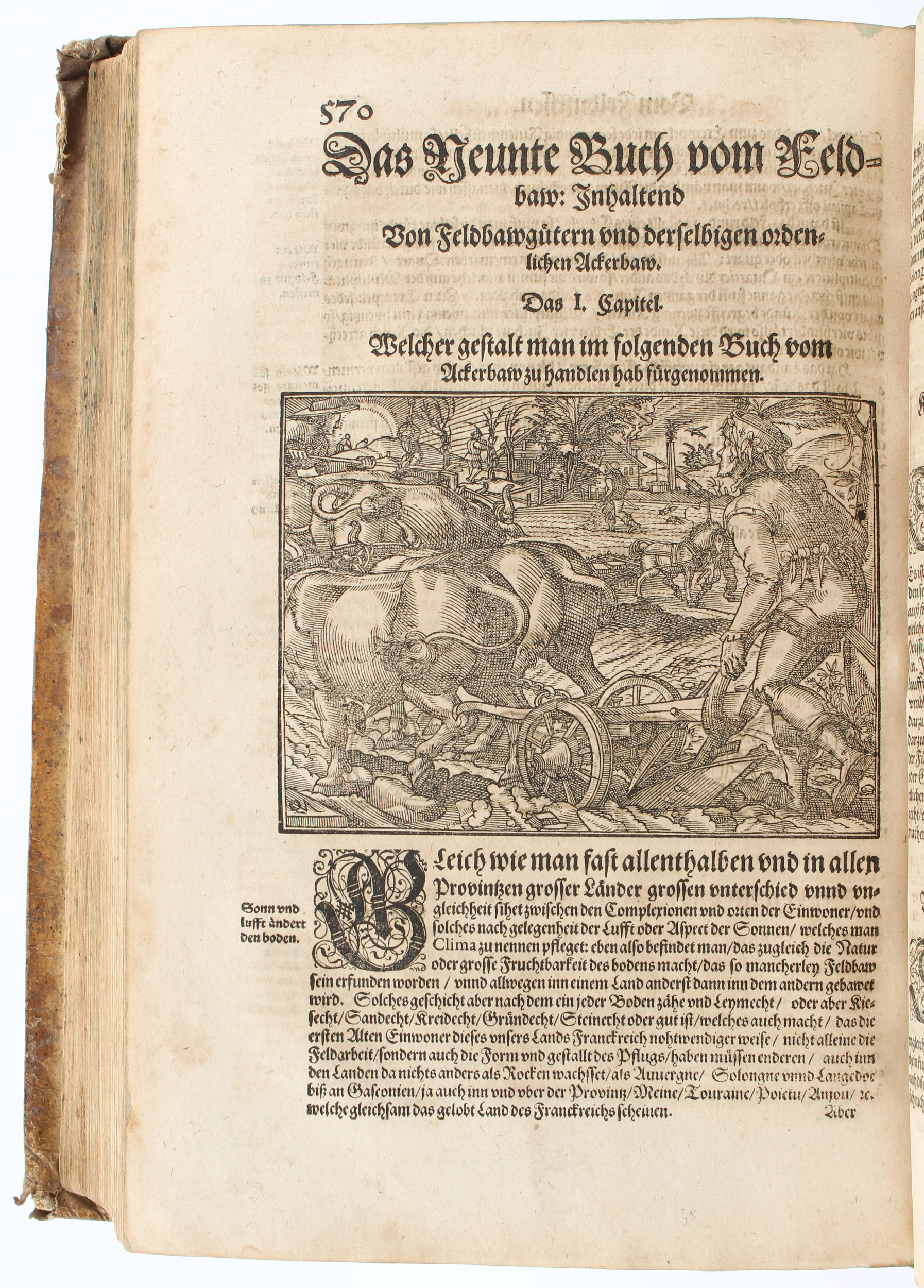 Estienne/Liébault, Feldbau 1588