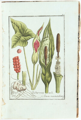 Naturgeschichte der Giftpflanzen. 1807