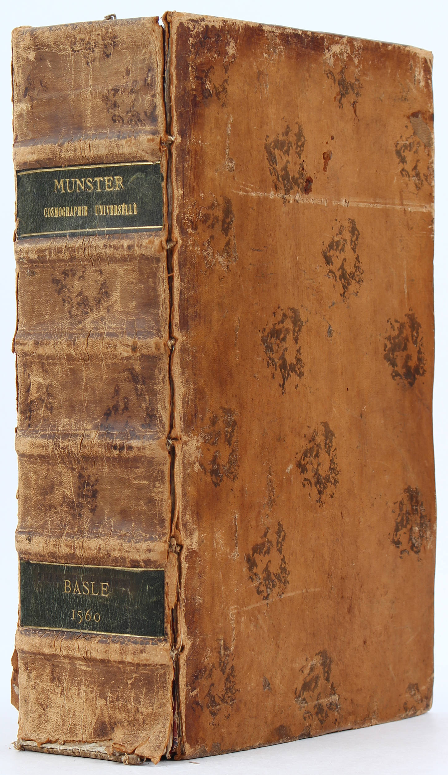 Münster, Cosmographie 1560