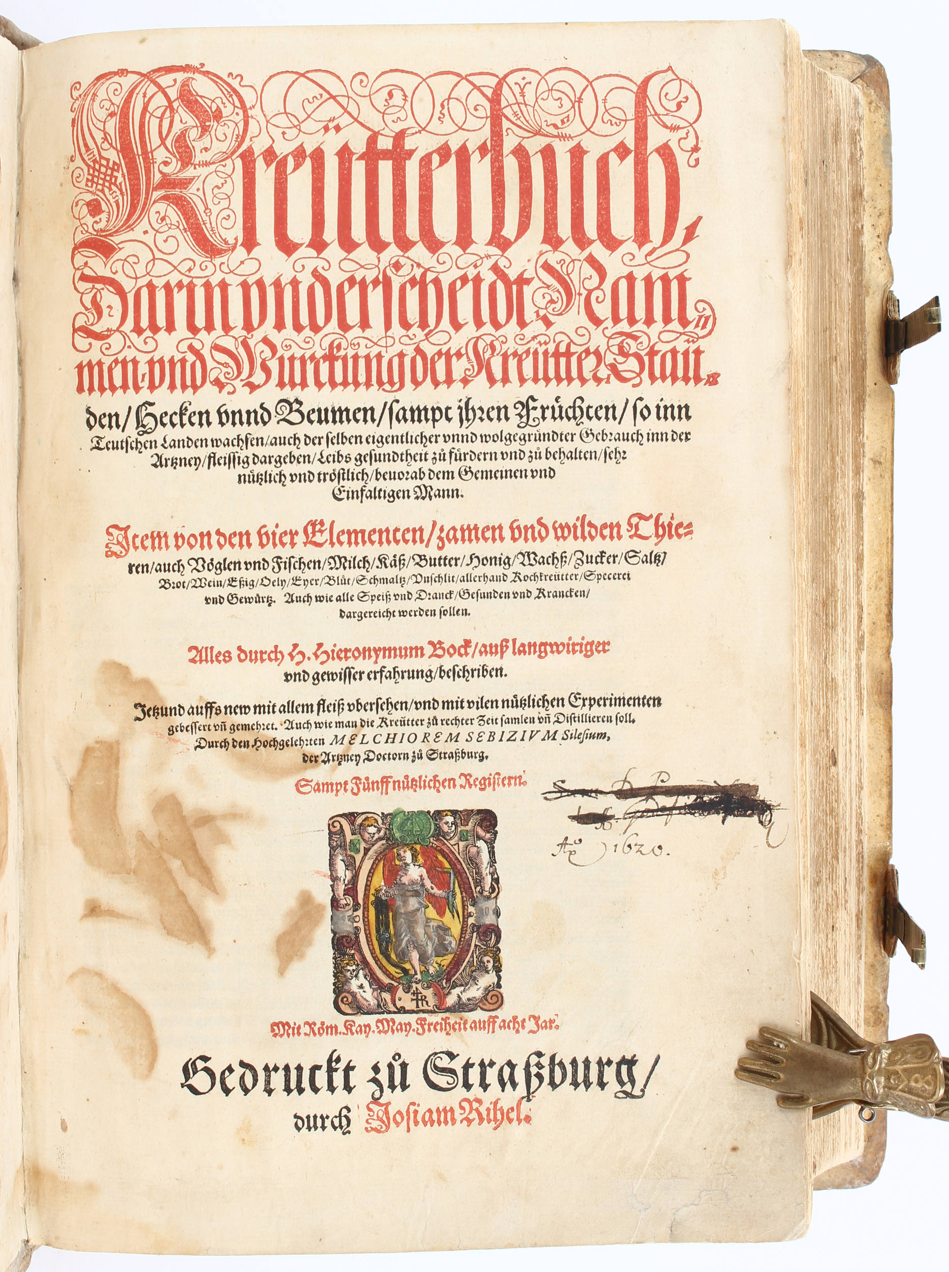 Bock, Kreütterbuch. 1577