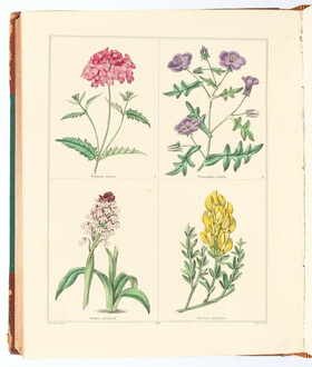 Maund, Botanic Garden 7-8