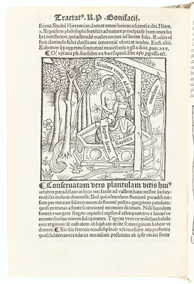 Bonifacius de Ceva, Opus de perfectione + Vorband
