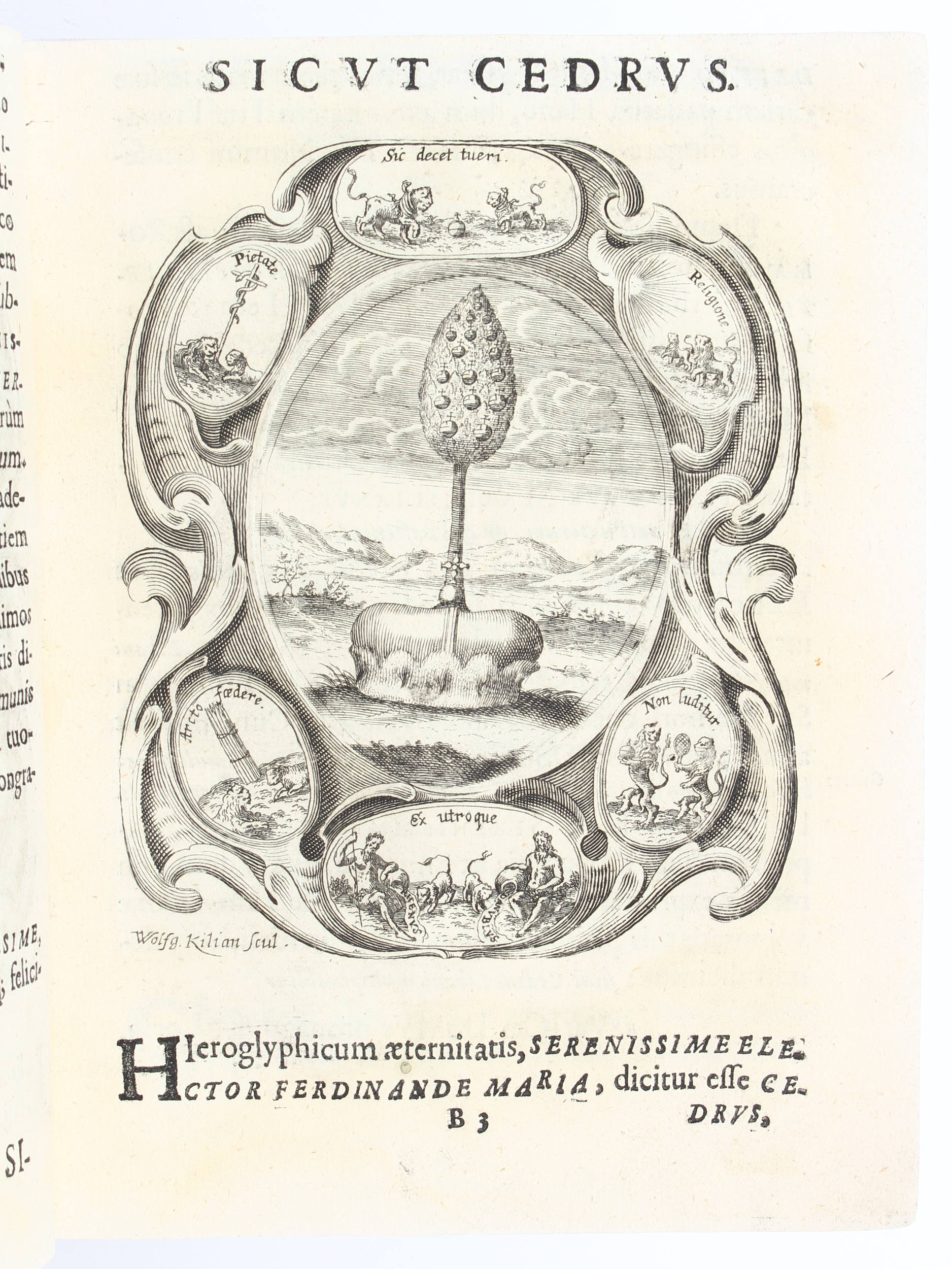 Calin, Sol oriens. 1662