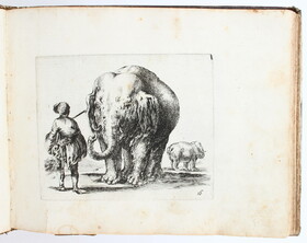 Sammelband Tierdarstellungen 17. Jh.