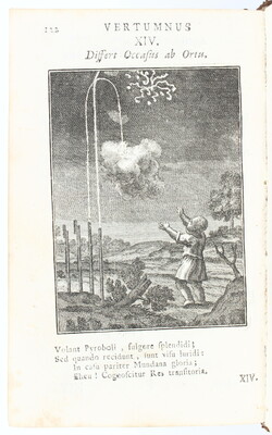 Martinus a S. Brunone, Vertumnus vanitatis