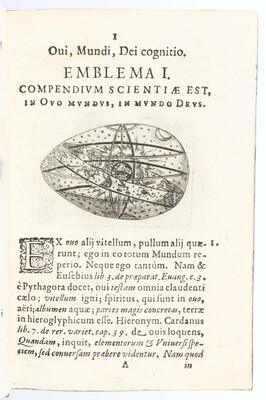 Stengel, Ova paschalia
