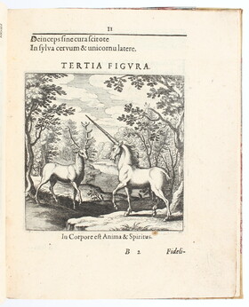 Lamspring, Libellus de lapide philosophico