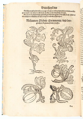 Ryff, New Groß Distillirbuch
