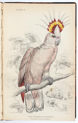 Jardine, Naturalist's library. 40 Bde.