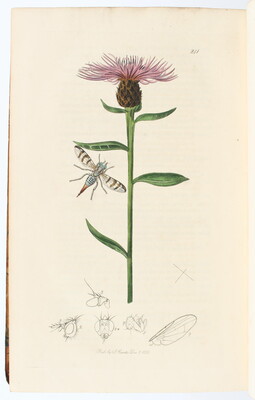 Curtis, British entomology. 7 Bde.