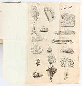 Baumer, Historia naturalis regni mineralogici