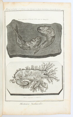 Diderot & d'Alembert, Recueil de planches VI