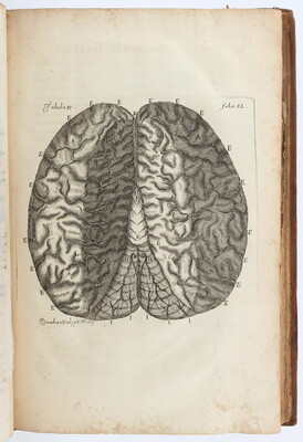 Vieussens, Neurographia