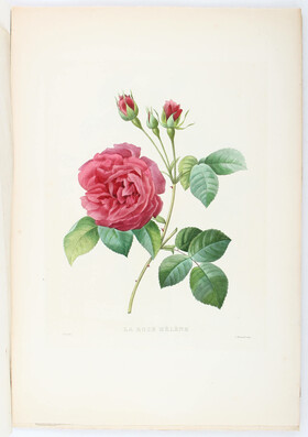 Redouté, Bouquet Royal