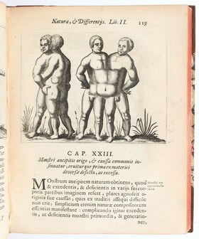 Licetus, De monstris