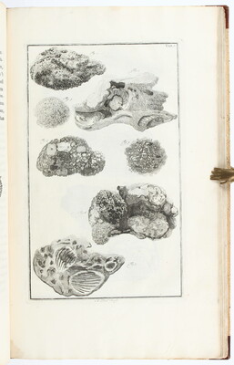 Marsigli, Beschryving der Zeen. 1786