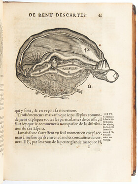 Descartes, L'homme. 1664