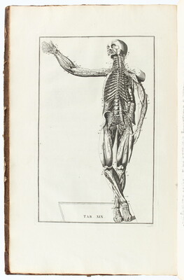 Eustachius, De ontleedkundige plaaten