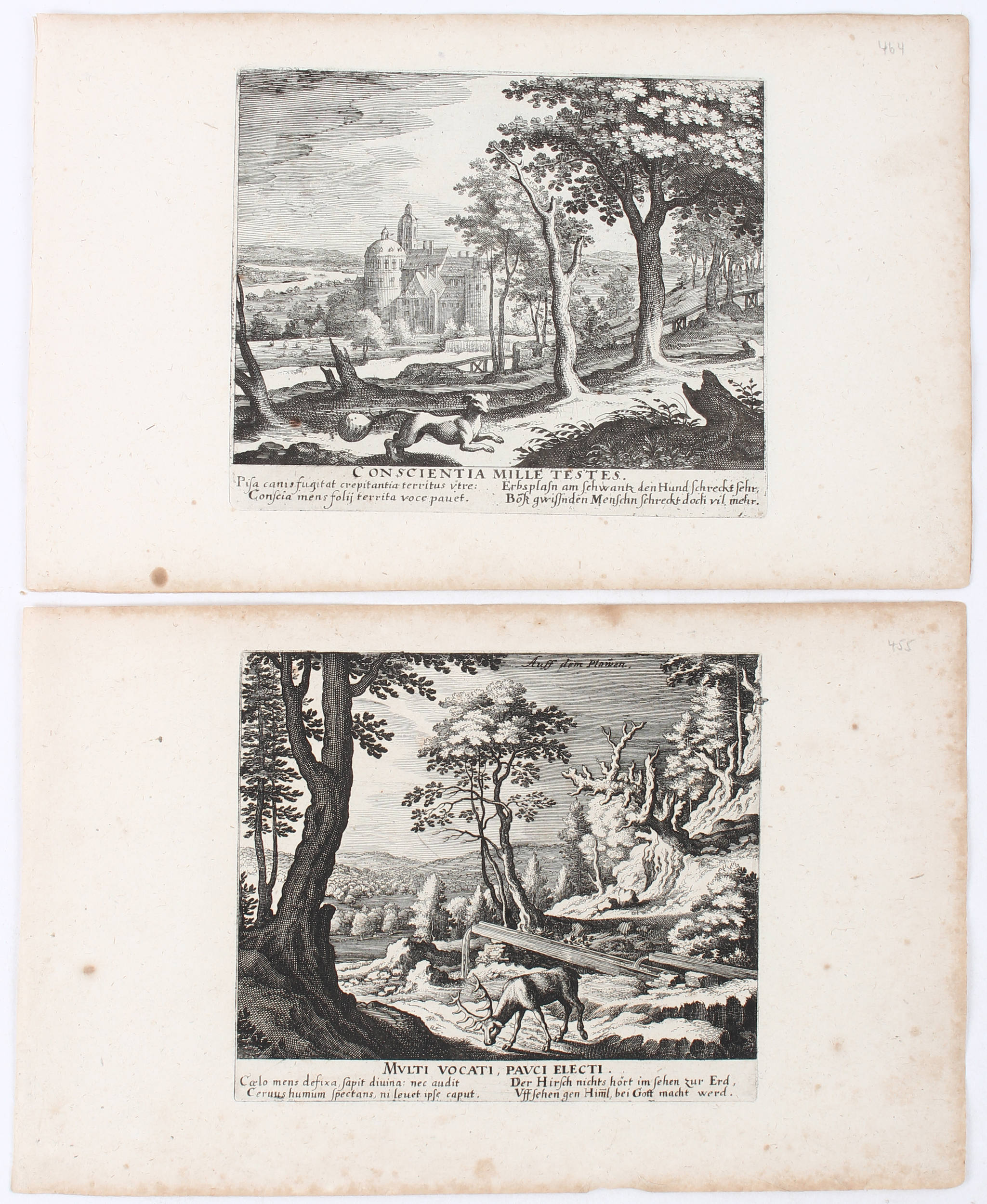 Merian, Novae regionum delineationes