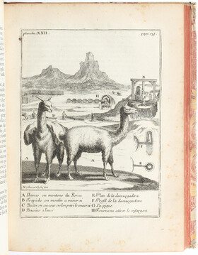 Frézier, Voyage de la Mer du Sud