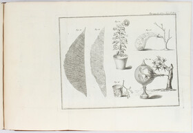 Duhamel, Physique des arbres. 2 Bde.