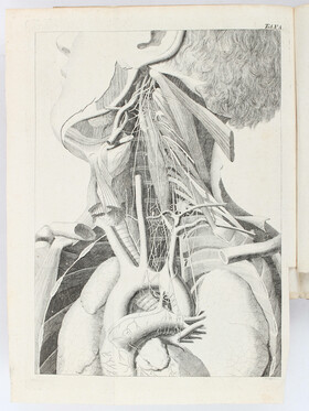 Ludwig, Scriptores Neurologici. 3 Bde.