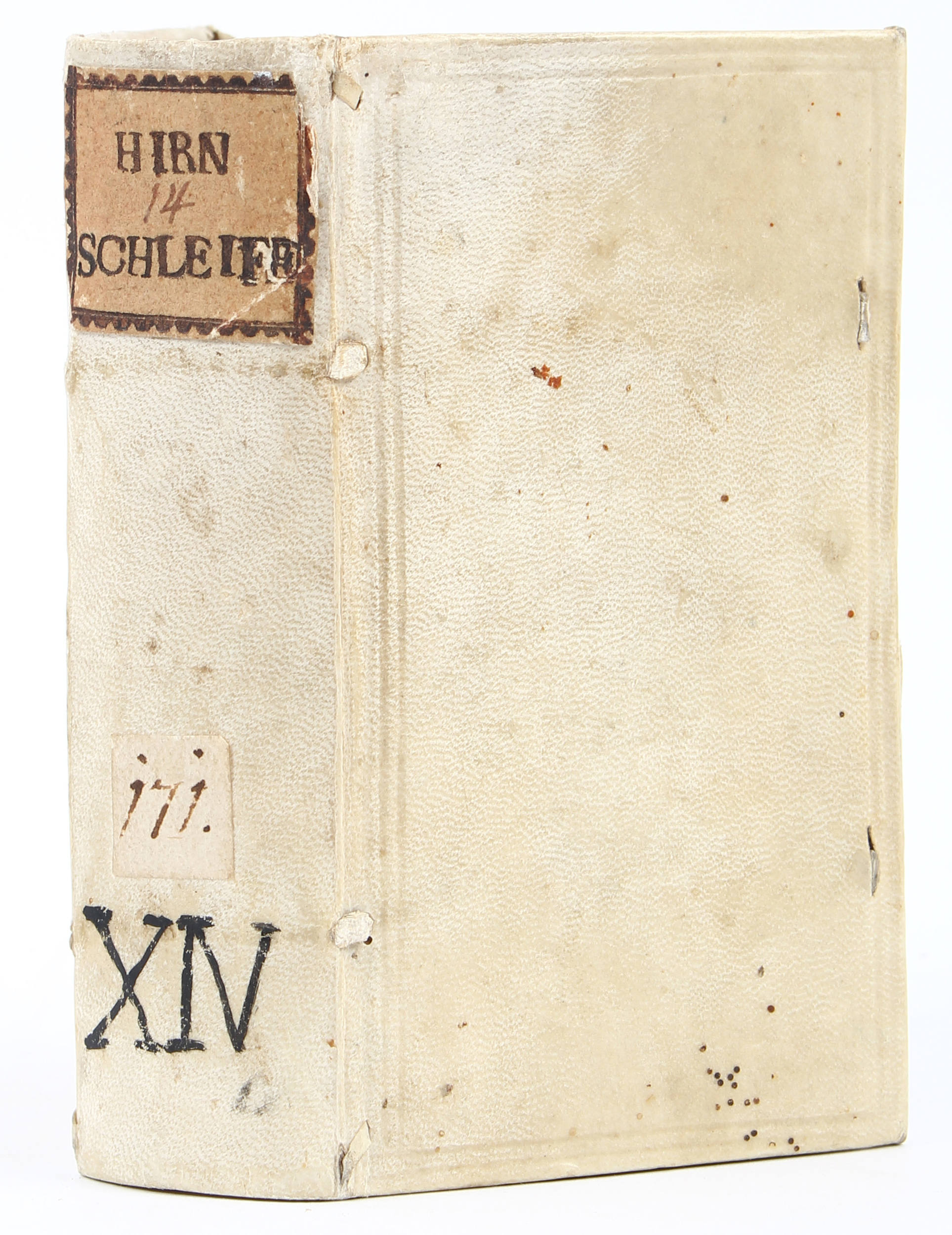 Albertinus, Hirnschleiffer