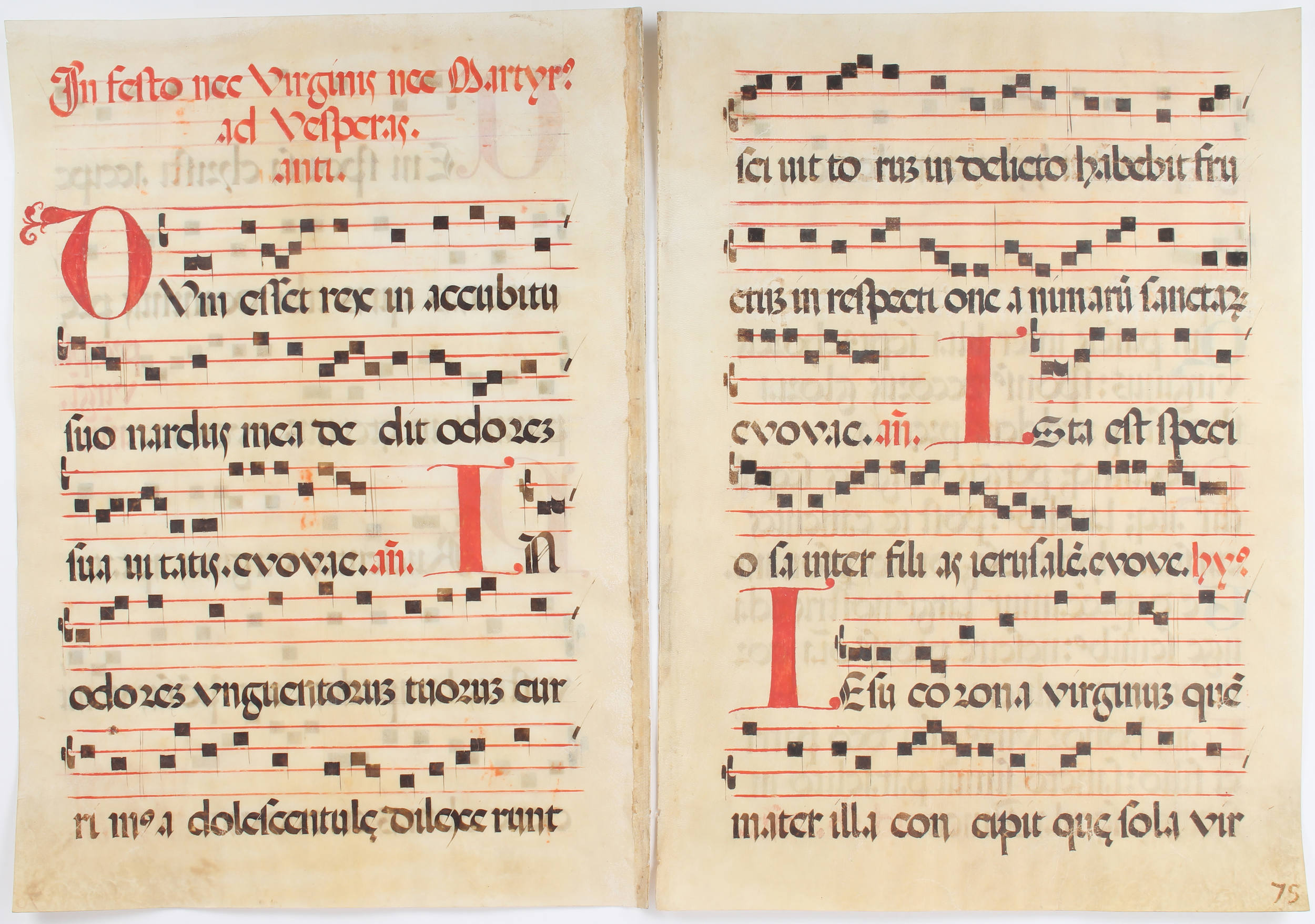 4 Antiphonarblätter (Pergament)