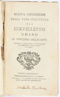 Malacarne, Esposizione della vera struttura del cervelletto