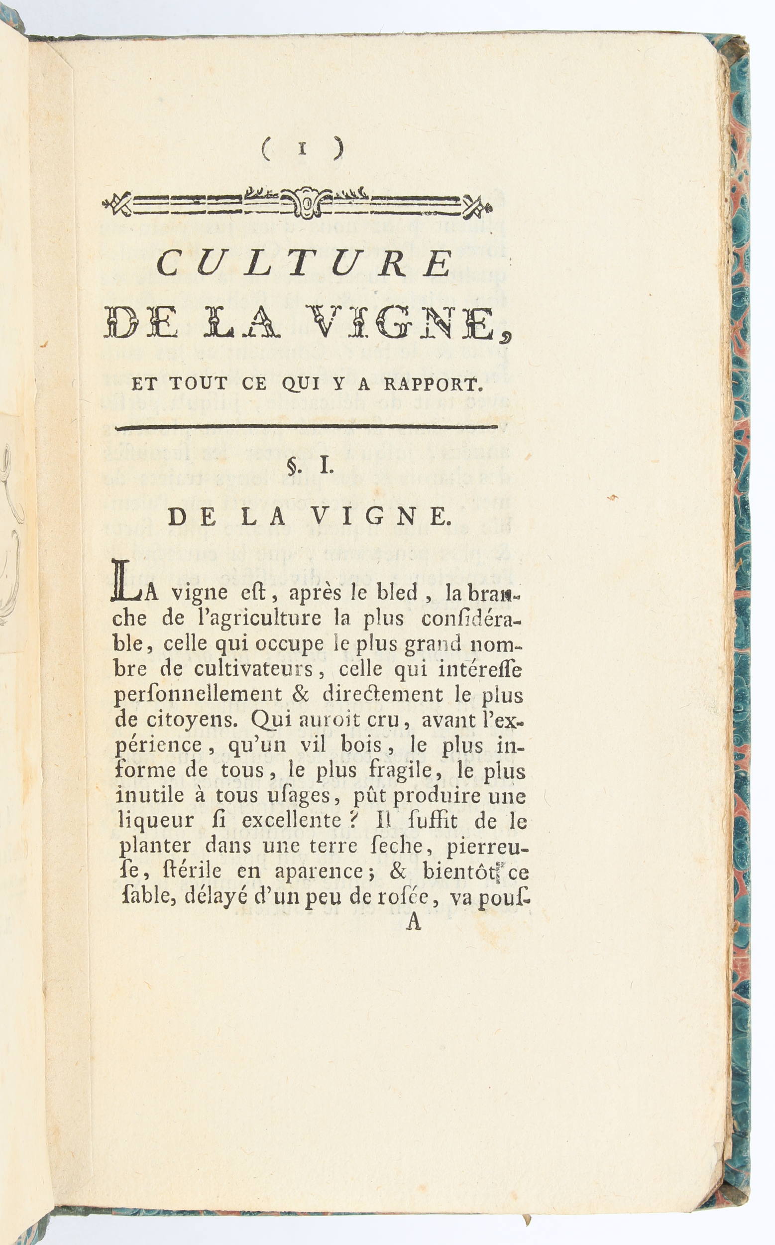 Articles vignes, raisins (etc.)