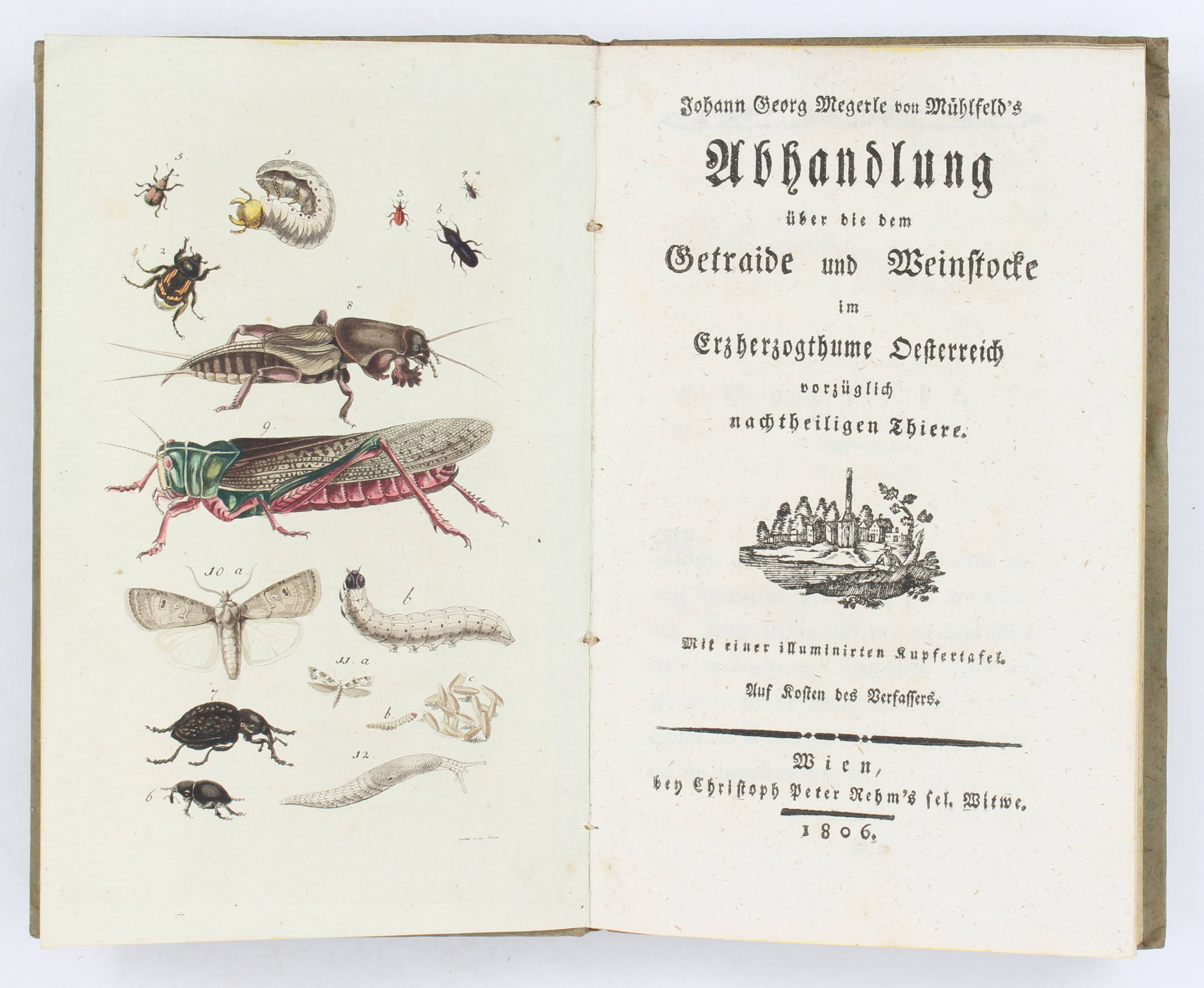 Breuchel, Von den Rebenstichern / 7 Bde.