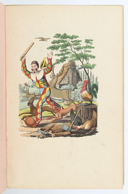 Neuester Orbis Pictus