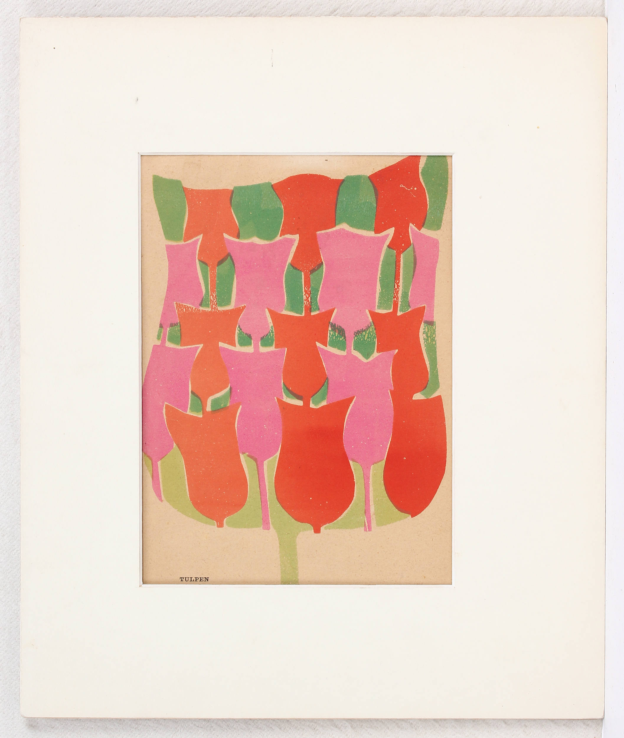 Tulpen. 13 Bll. des 20. Jh.