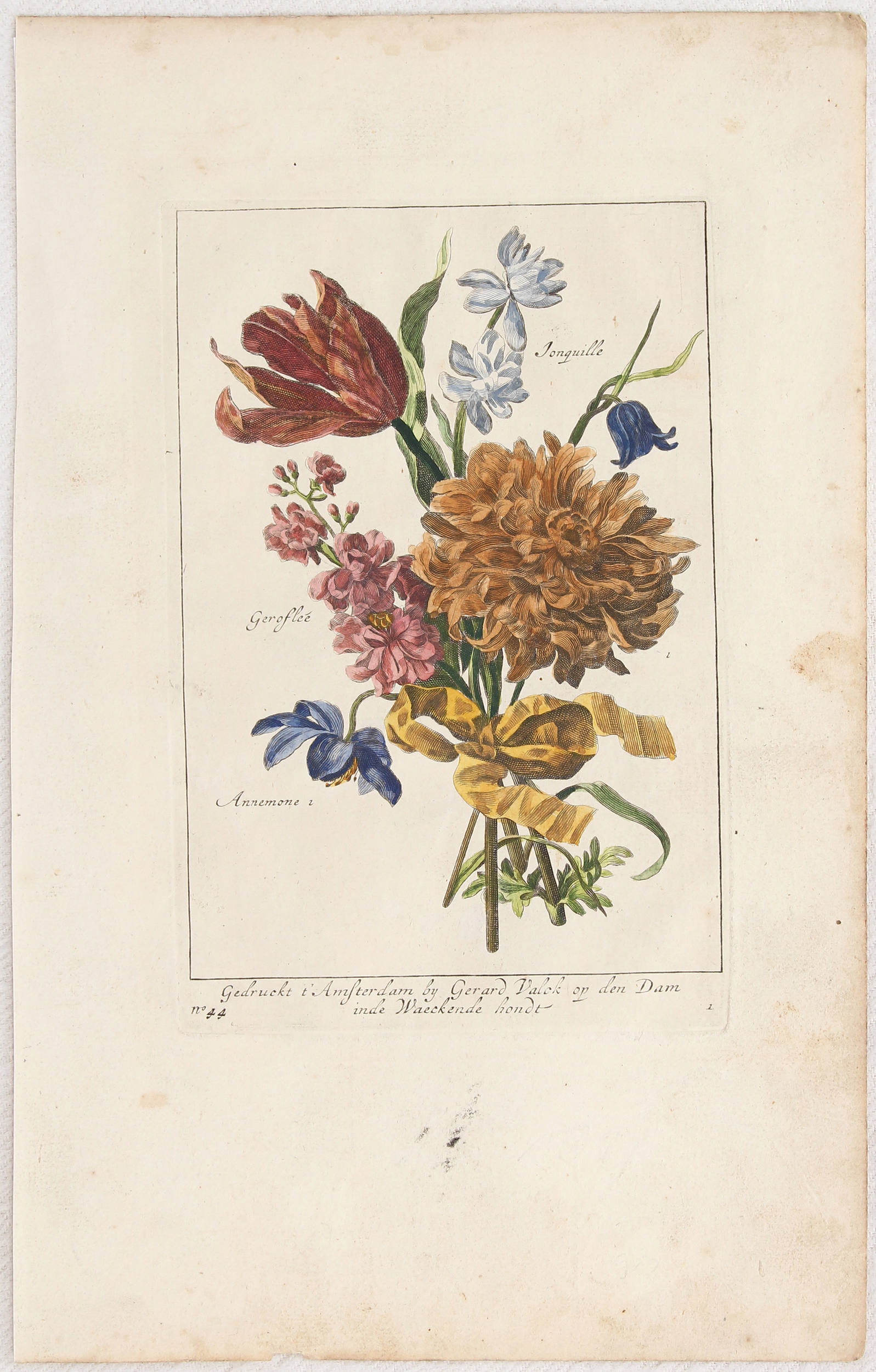 Tulpen. 48 Bll. Konvolut