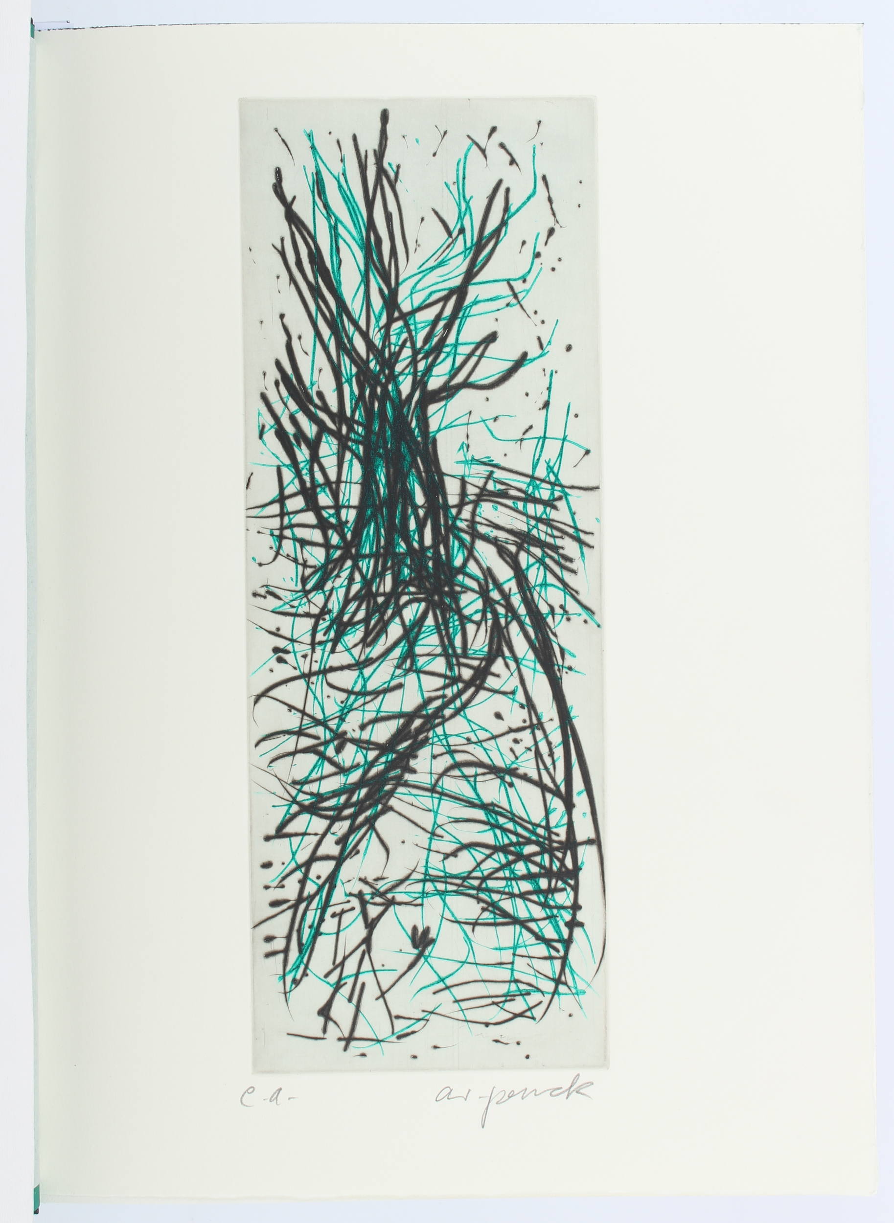 Penck, Reise durch Ireland