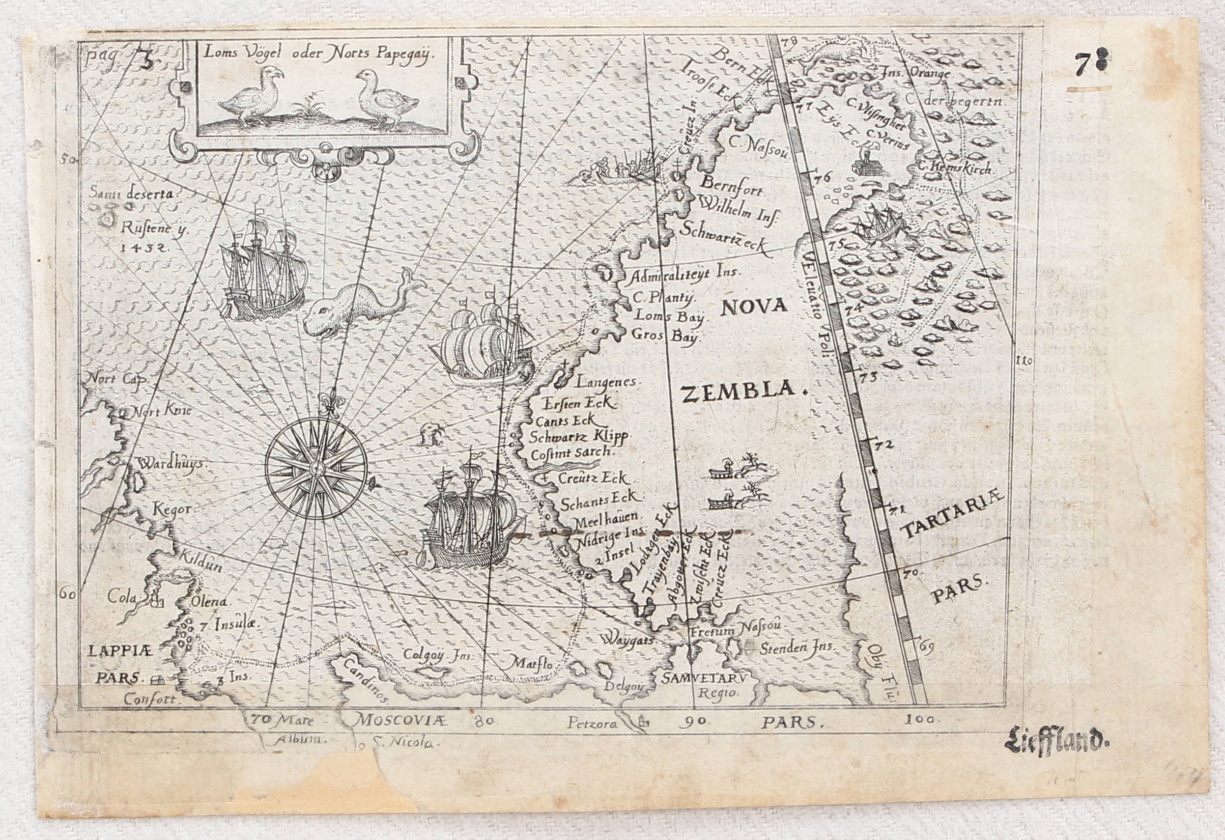 Welt-Konvolut. Ca. 40 Bll. Schraembl u.a.