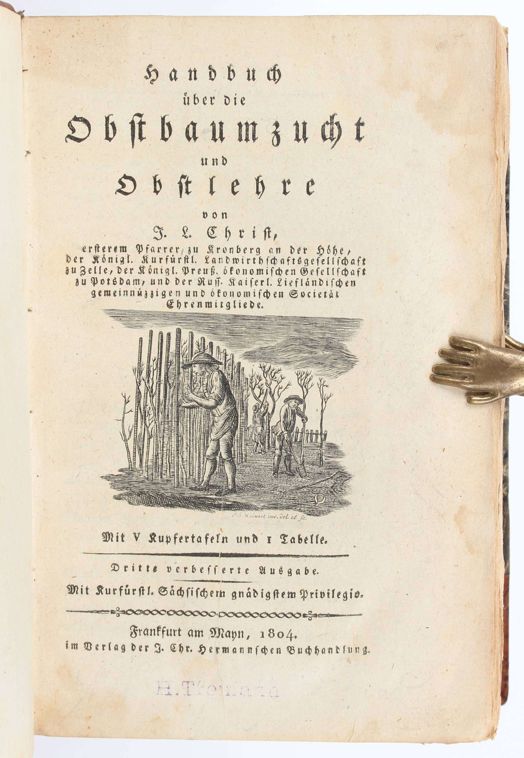 Christ, Obstbaumzucht. 1804